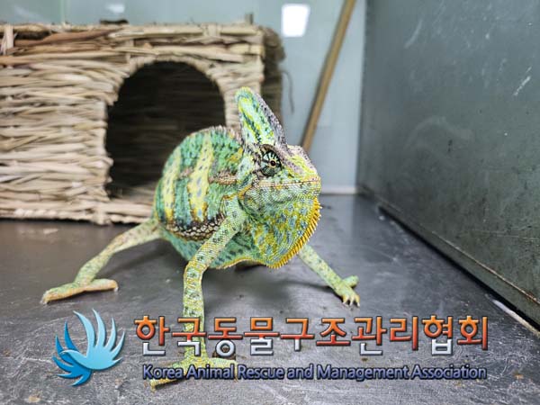 한국동물구조관리협회_411310202400651